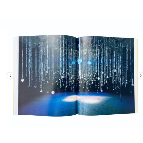 🆕 Susan Hiller Contemporary art book - Picture 5 of 11